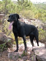 Phoebe Hadjimarkos Clarke, 